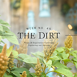 The Dirt | 2014 | week no. 45