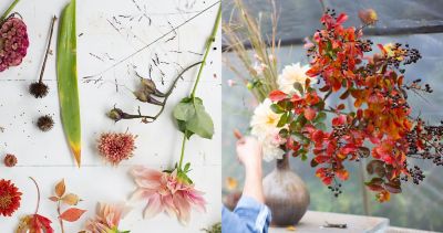 Wildflower Guest Book - Terrain