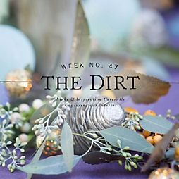 The Dirt | 2014 | week no. 47