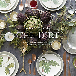 The Dirt | 2014 | week no. 48