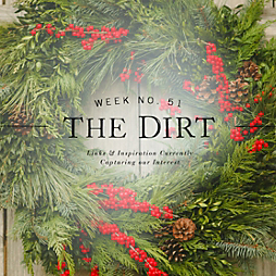 The Dirt | 2014 | week no. 51