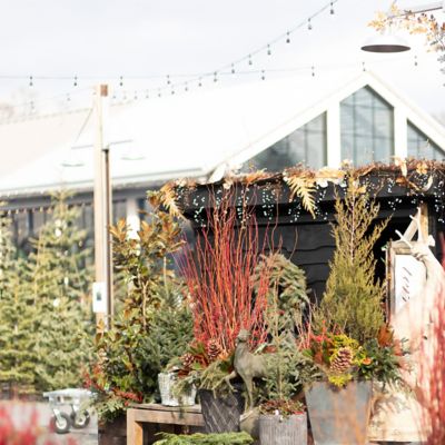 The 2018 Holiday Store Tour