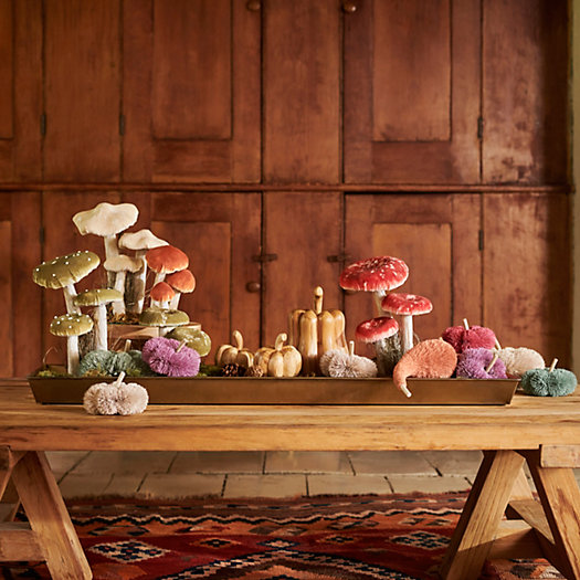 View larger image of Shop the Look: Fall into Place, Velvet Mushroom Harvest