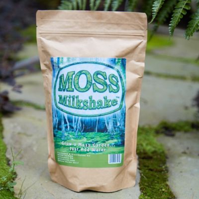Moss Milkshake