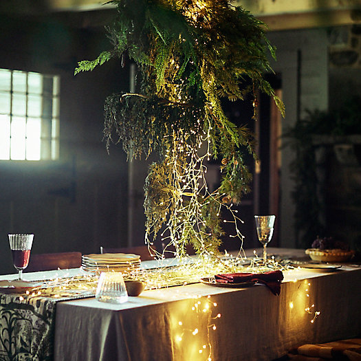 View larger image of Shop the Look: A Starry Evergreen Centerpiece