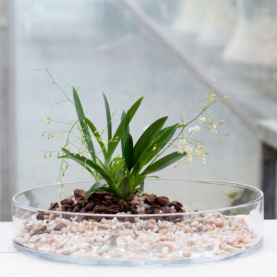 Circumference Planter