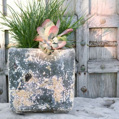 Barnacle Cube Pot