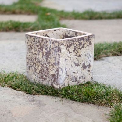 Barnacle Cube Pot, Small