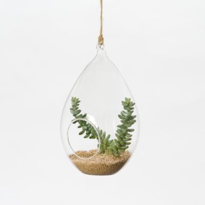 Hanging Teardrop Terrarium