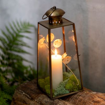 Forest Lantern