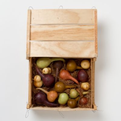Dried Gourd Crate