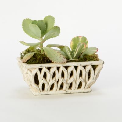 Gothic Arch Trough 11"
