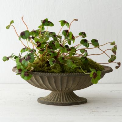 'Aged Iron Pedestal Bowl, 14'