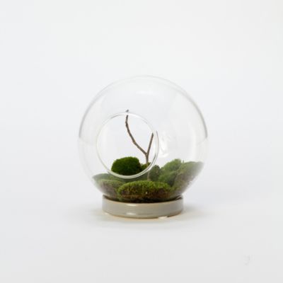 Ceramic Stand Terrarium