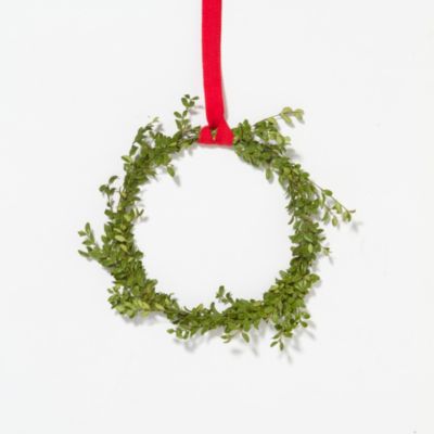 Fresh Boxwood Circlet Wreath