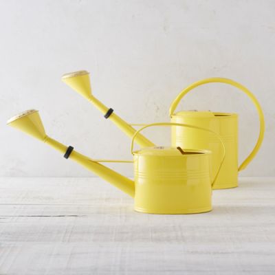 Galvanized Oval Watering Can