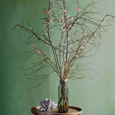 Quince Branches