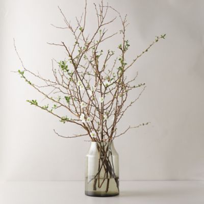 Dried Palm, Protea, Queen Anne's Lace Bouquet - Terrain