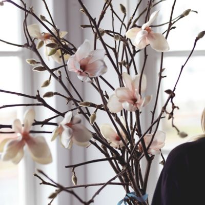 Tulip Magnolia Branches Terrain