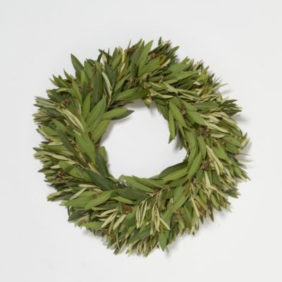 Fresh Israeli Ruscus + Olive Leaf Wreath
