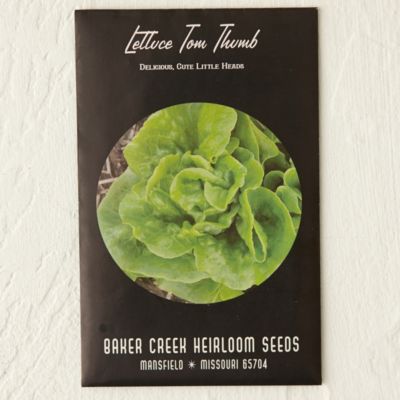 Tom Thumb Lettuce Seeds
