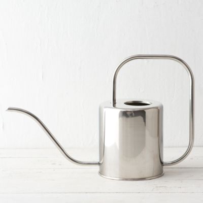 Stainless Watering Can, Large