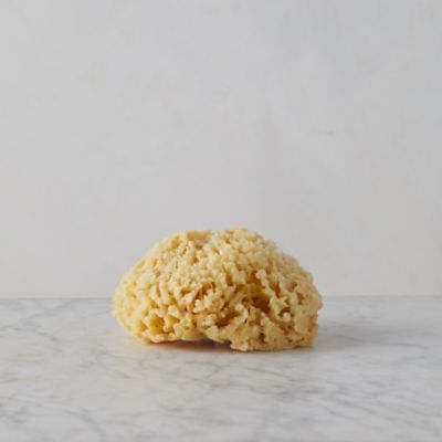 Bath Sponge, Small