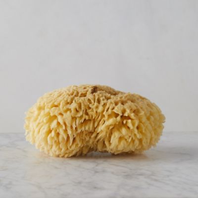 real sponge for bath