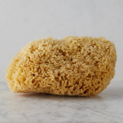 Bath Sponge, Large