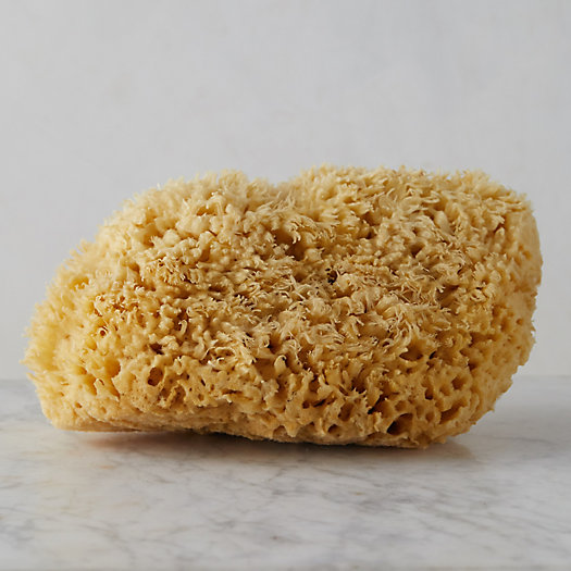 View larger image of Bath Sponge, Large