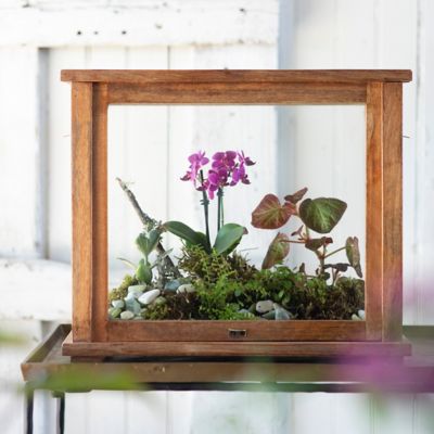 Glass Terrarium Table, Wood Terrarium Table, Tables Plants Home