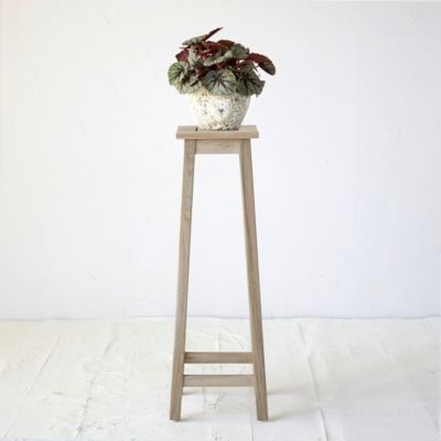 Protected Teak Plant Stand, Tall