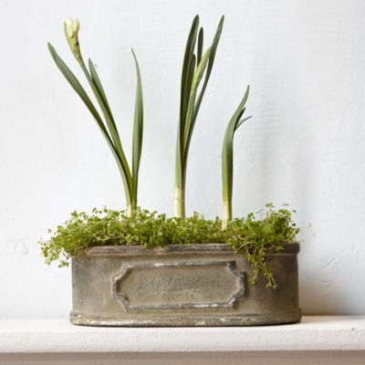 Cast Iron Nameplate Planter