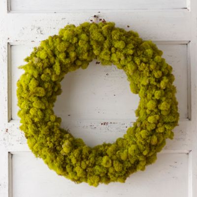 Christmas Moss Wreath - - Great Wave Aquatics