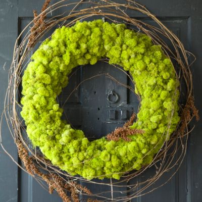 Lush Reindeer Moss Wreath, 12” Chartreuse