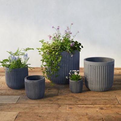 Featured image of post Concrete Plant Pots Indoor / Give your plants somewhere beautiful to live!