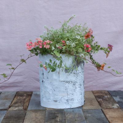Birch Column Pot