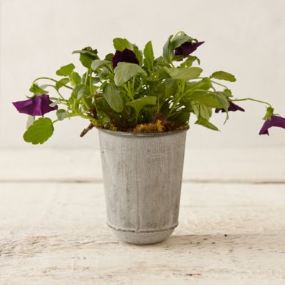 Painter’s Cup Pot
