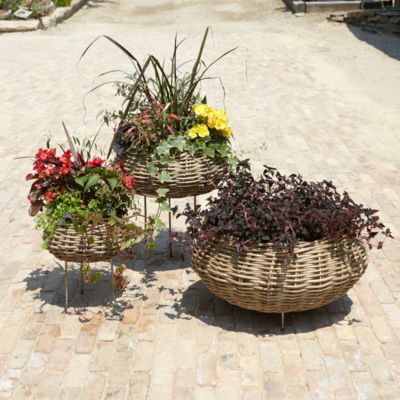 Woven Rattan Basket Planter, 10-17"