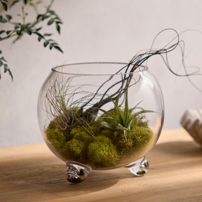 Elevated Fishbowl Terrarium