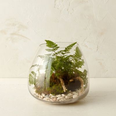 Polished Drop Terrarium