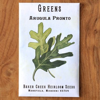 Arugula Pronto Seeds