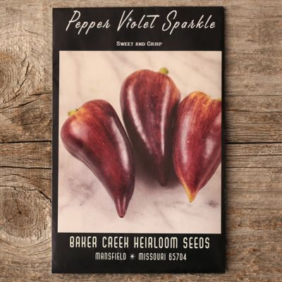 Violet Sparkle Pepper Seeds