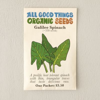 Organic Galilee Spinach Seeds