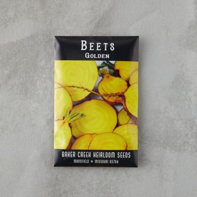 Golden Beet Seeds
