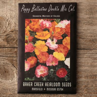 ‘Ballerina Mix’ Poppy Seeds