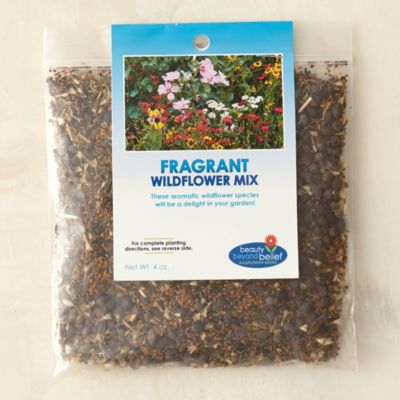Fragrant Flower Seed Mix