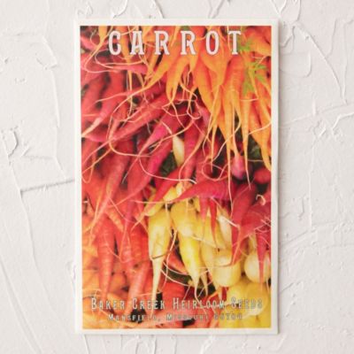 Pusa Rudhira Carrot Seeds