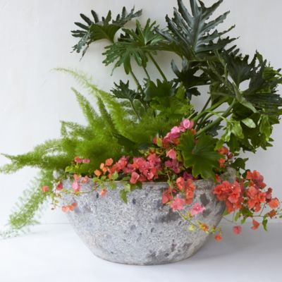 Barnacle Garden Bowl