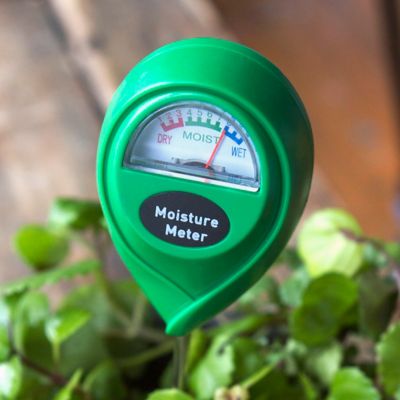 Moisture Meter Plants